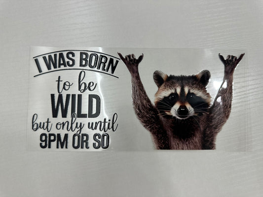 #18 - born to be wild raccoon