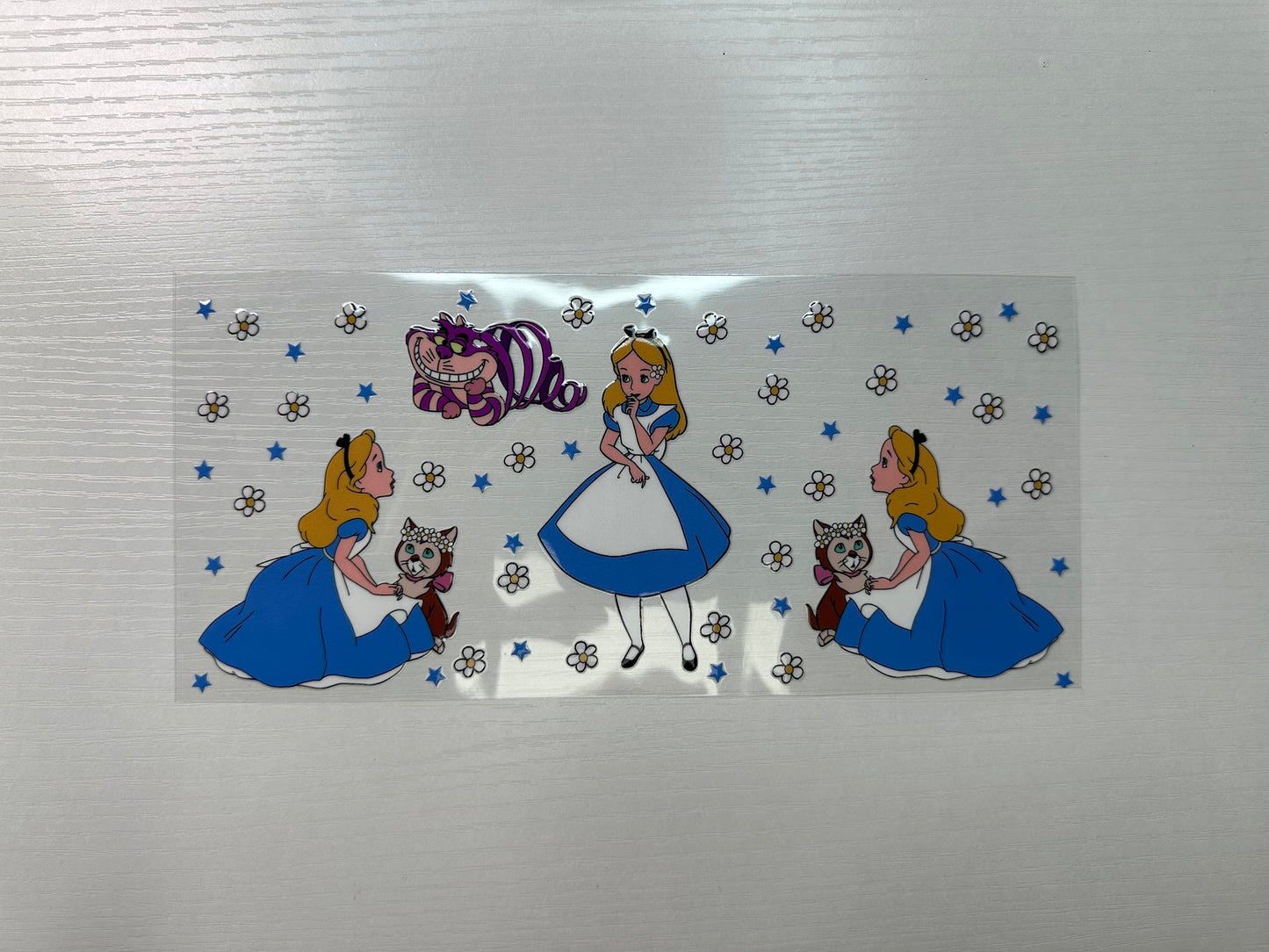 #305 - alice & cat