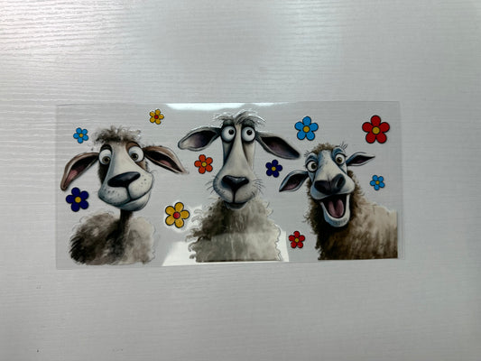 #325 - sheep