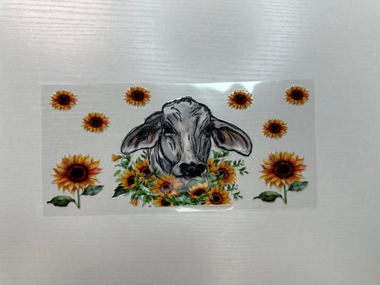 #330 - brahma cow & sunflowers