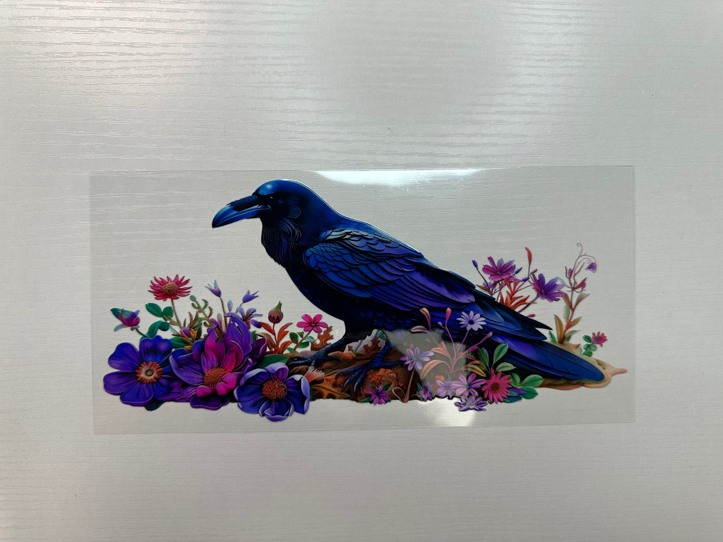 #337 - crow