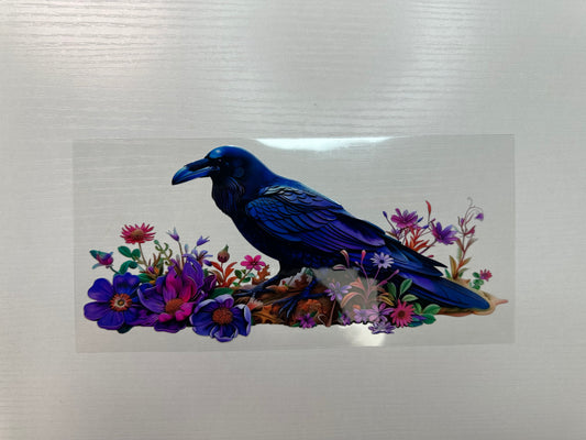 #337 - crow